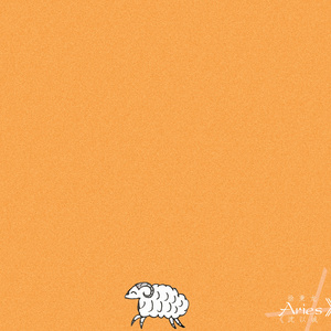 成人社区在线视频
