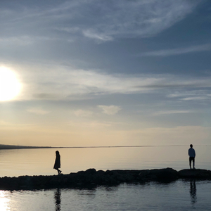 成人社区在线视频
